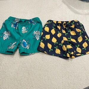 Hanna Andersson & Tea Collection boys swimsuit bundle